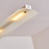 Hogana Lampada a Sospensione LED Acciaio inox, 5-Luci