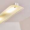 Hogana Lampada a Sospensione LED Acciaio inox, 5-Luci