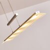 Hogana Lampada a Sospensione LED Acciaio inox, 5-Luci