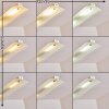 Hogana Lampada a Sospensione LED Acciaio inox, 5-Luci