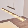 Hogana Lampada a Sospensione LED Acciaio inox, 5-Luci