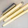 ISKUT Plafoniera LED Cromo, 3-Luci