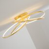 Glen Plafoniera LED Oro, 1-Luce, Telecomando