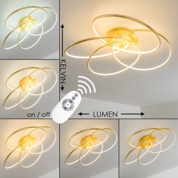 Glen Plafoniera LED Oro, 1-Luce, Telecomando