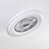 Piacenza ventilatore da soffitto LED Cromo, Bianco, 1-Luce, Telecomando