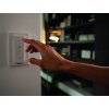 Philips Hue Ambiance White Milliskin Spot integrato, estensione Argento, 1-Luce, Telecomando