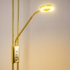 Donna Piantana LED Ottone, 2-Luci