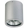 Albert 2130 Plafoniera Argento, 1-Luce