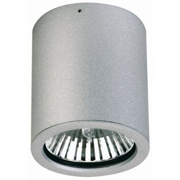 Albert 2130 Plafoniera Argento, 1-Luce