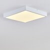 Broglen Plafoniera LED Bianco, 1-Luce