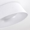 Fremont Plafoniera LED Bianco, 1-Luce, Telecomando