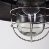 Steinhauer Tuk Lampada a Sospensione Acciaio inox, 1-Luce