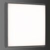 Plafoniera da esterno LCD TYP 5061 LED Nero, 1-Luce