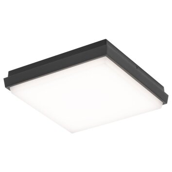 Plafoniera da esterno LCD TYP 5061 LED Nero, 1-Luce