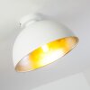 Plafoniera Saro Bianco, 1-Luce