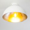 Plafoniera Saro Bianco, 1-Luce