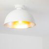 Plafoniera Saro Bianco, 1-Luce