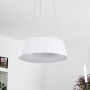 Fremont Lampadario a sospensione LED Bianco, 1-Luce, Telecomando