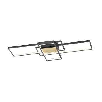 Trio Tucson Plafoniera LED Nero, 1-Luce