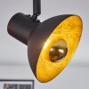 Neiden Faretto da soffitto Nero-Oro, 2-Luci