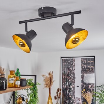 Neiden Faretto da soffitto Nero-Oro, 2-Luci