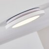 Siguna Plafoniera LED Bianco, 1-Luce