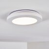 Siguna Plafoniera LED Bianco, 1-Luce