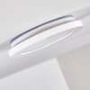 Siguna Plafoniera LED Bianco, 1-Luce