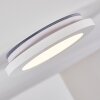 Siguna Plafoniera LED Bianco, 1-Luce