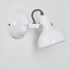 Tina Applique Bianco, 1-Luce