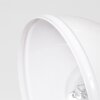 Tina Applique Bianco, 1-Luce