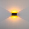 Dapp Applique Oro, Nero, 1-Luce
