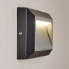 Applique da esterno Alkmaar LED Antracite, 1-Luce