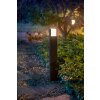Philips Hue White Fuzo Lampioncino Segnapasso LED Nero, 1-Luce