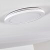 Siguna Plafoniera LED Bianco, 1-Luce