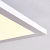 Salmi Plafoniera LED Bianco, 1-Luce, Telecomando, Cambia colore