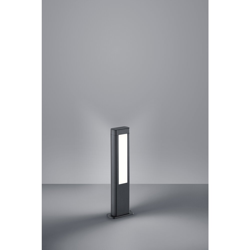 Trio RHINE Lampada con piedistallo LED Antracite, 2-Luci main product photo