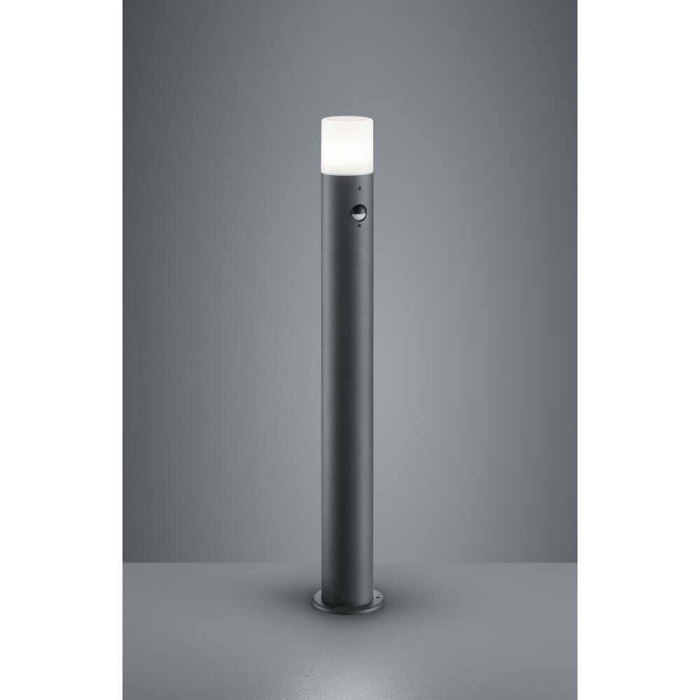Trio HOOSIC Lampada con piedistallo Antracite, 1-Luce, Sensori di movimento main product photo