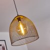 Wesa Lampadario a sospensione Marrone scuro, Nichel opaco, 1-Luce