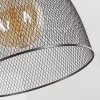 Wesa Lampadario a sospensione Marrone scuro, Nichel opaco, 1-Luce
