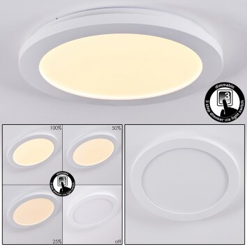 Siguna Plafoniera LED Bianco, 1-Luce