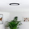 Siguna Plafoniera LED Nero, 1-Luce