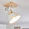 Orny Plafoniera Marrone, Bianco, 1-Luce