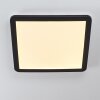 Siguna Plafoniera LED Nero, Bianco, 1-Luce