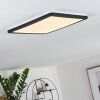 Siguna Plafoniera LED Nero, Bianco, 1-Luce