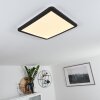 Siguna Plafoniera LED Nero, Bianco, 1-Luce