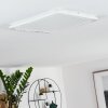 Siguna Plafoniera LED Bianco, 1-Luce