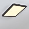 Siguna Plafoniera LED Nero, Bianco, 1-Luce