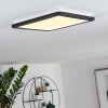 Siguna Plafoniera LED Nero, Bianco, 1-Luce