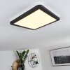 Siguna Plafoniera LED Nero, Bianco, 1-Luce